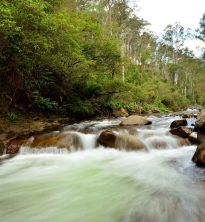 east kiewa river rocky valley branch.jpg